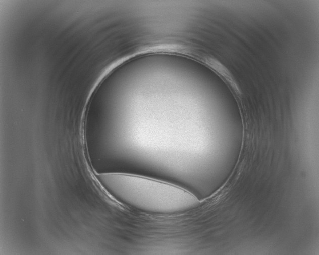 X0000057081436200509090901