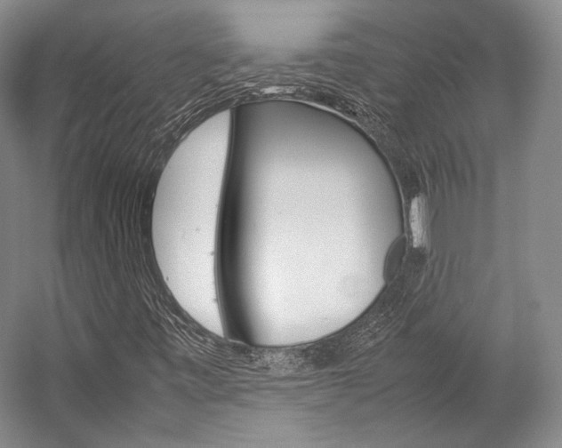 X0000057081443200509090900