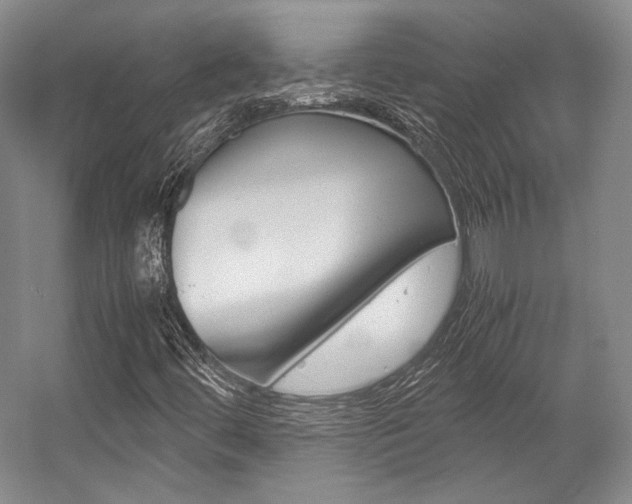 X0000057081444200509090900