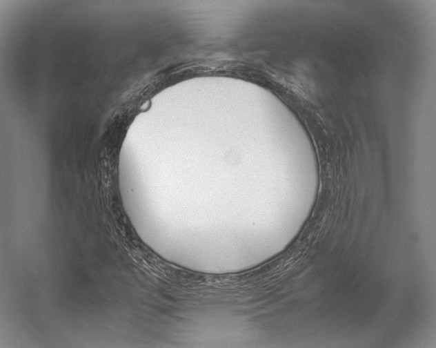 X0000057081447200509090900