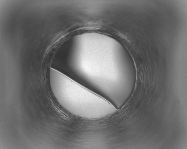 X0000057081448200509090900