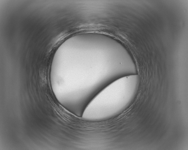 X0000057081451200509090900