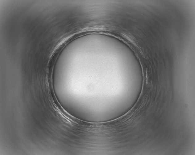 X0000057081452200509090900