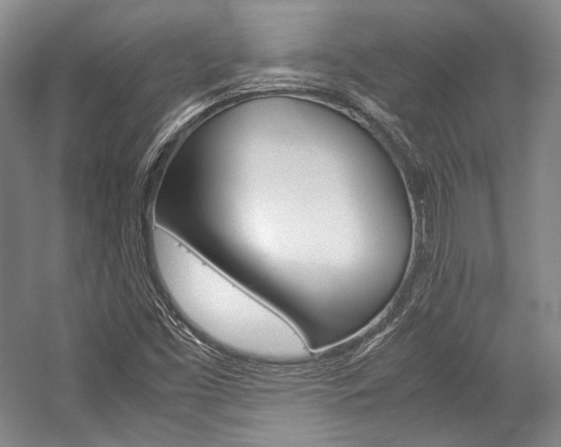 X0000057081453200509090900