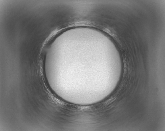 X0000057081454200509090900