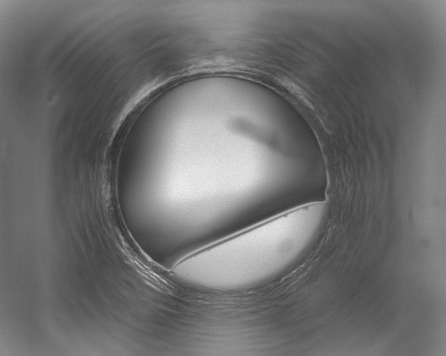 X0000057081458200509090900
