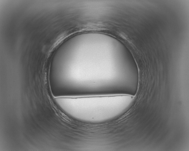 X0000057081459200509090900