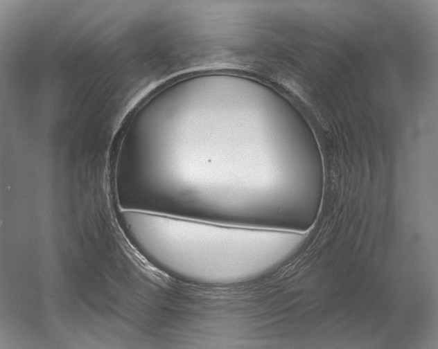 X0000057081460200509090900