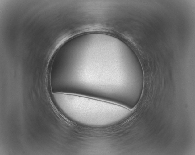 X0000057081463200509090900