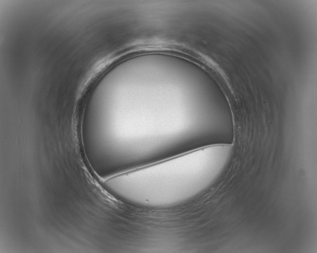 X0000057081464200509090900