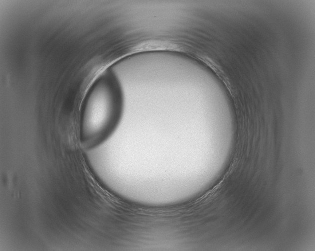 X0000057081465200509090900