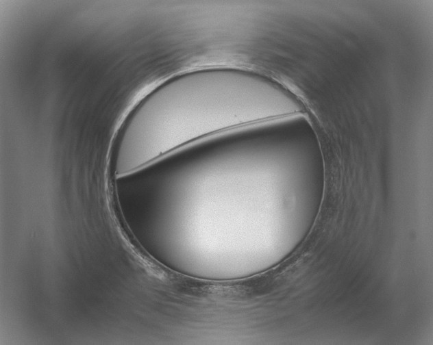 X0000057081469200509090900