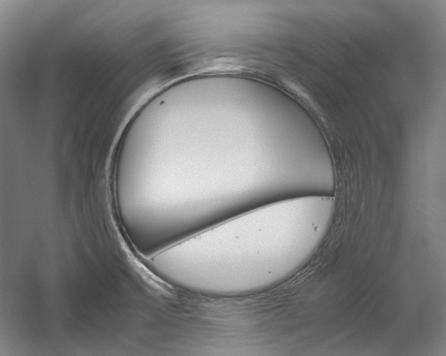 X0000057081475200509090900