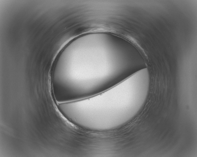 X0000057081476200509090900