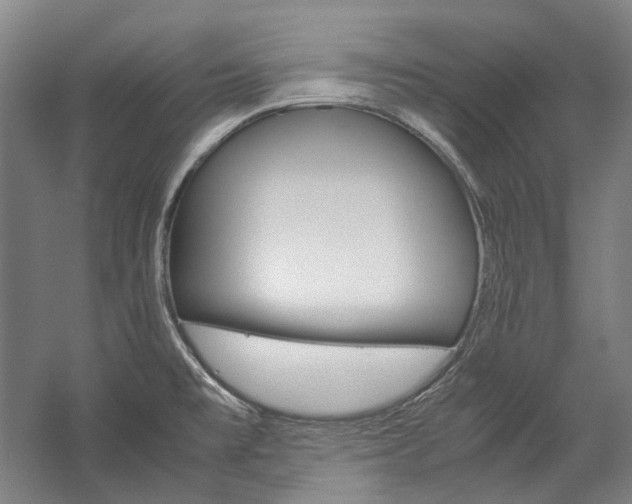 X0000057081477200509090900