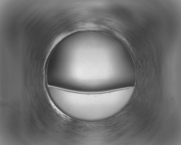 X0000057081479200509090900
