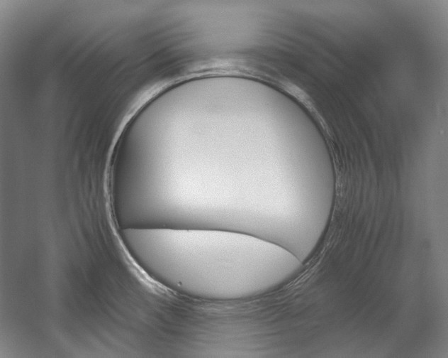 X0000057081482200509090900