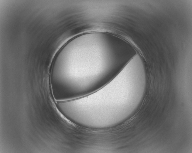 X0000057081484200509090859