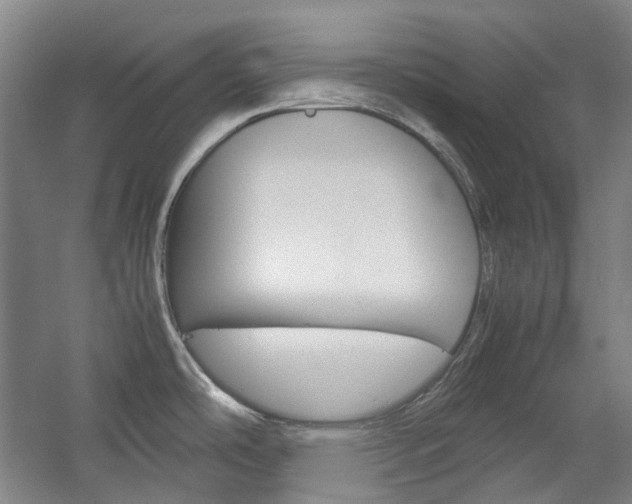 X0000057081486200509090859