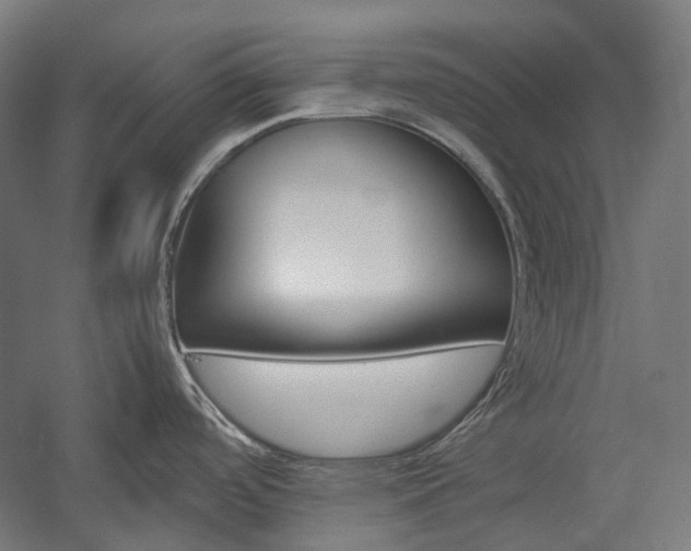 X0000057081488200509090859