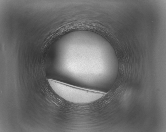 X0000057081490200509090859