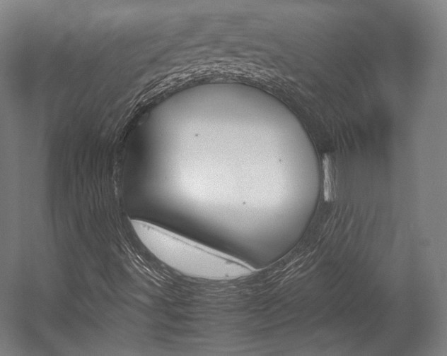 X0000057081491200509090859
