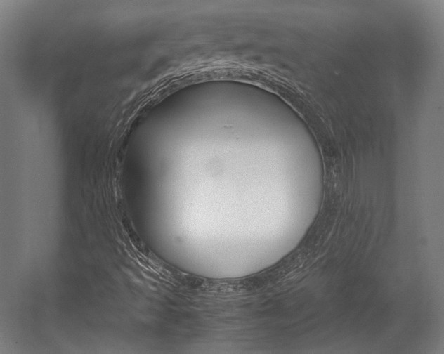 X0000057081493200509090859
