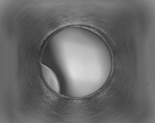 X0000057081497200509090859