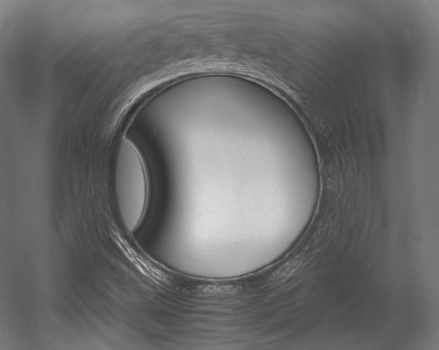 X0000057081499200509090859