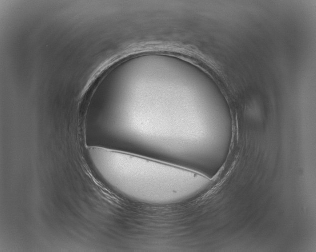 X0000057081501200509090859