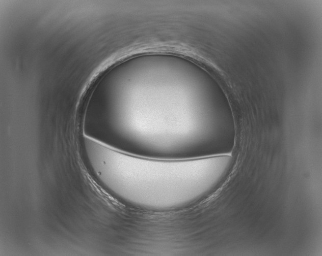 X0000057081506200509090859