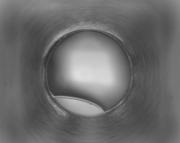 X0000057081507200509090859