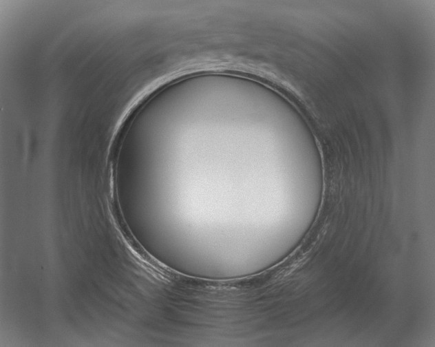 X0000057081509200509090859