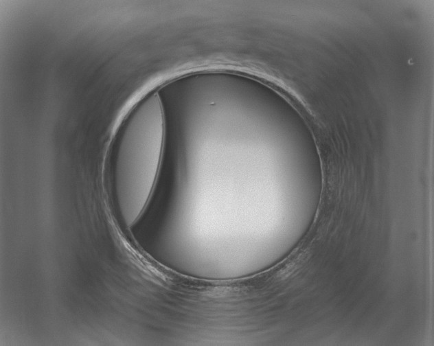 X0000057081510200509090859
