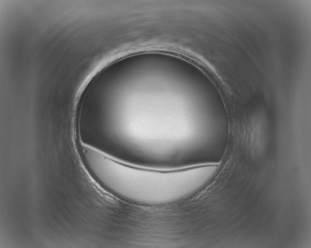 X0000057081512200509090859