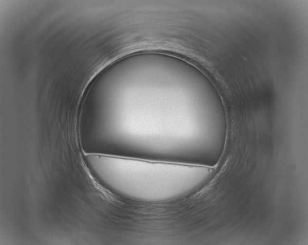 X0000057081513200509090859