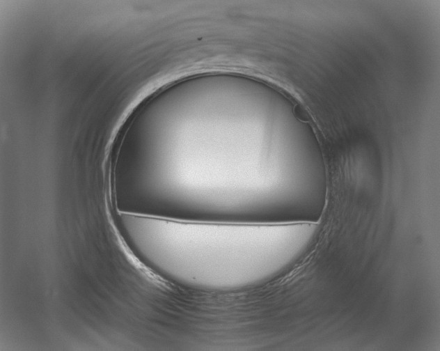 X0000057081515200509090859