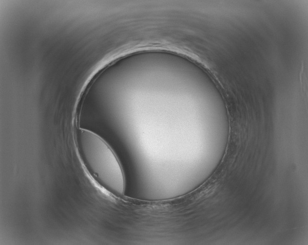 X0000057081519200509090859