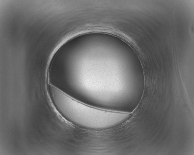 X0000057081520200509090859