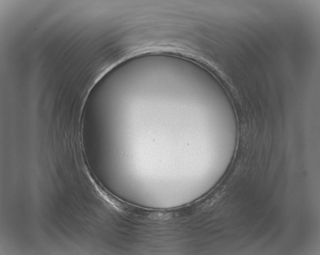 X0000057081521200509090859