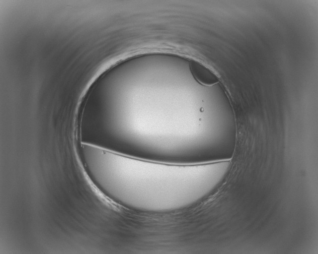 X0000057081523200509090859