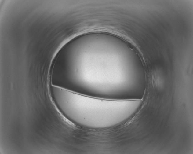 X0000057081525200509090859