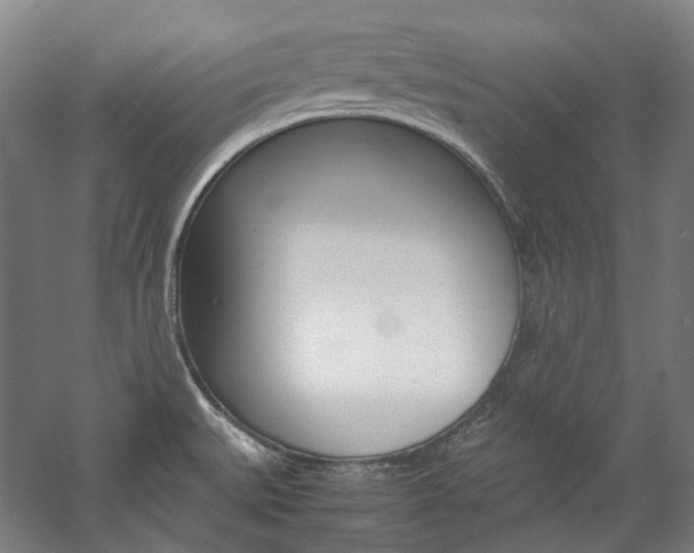 X0000057081527200509090859
