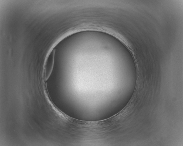 X0000057081536200509090859