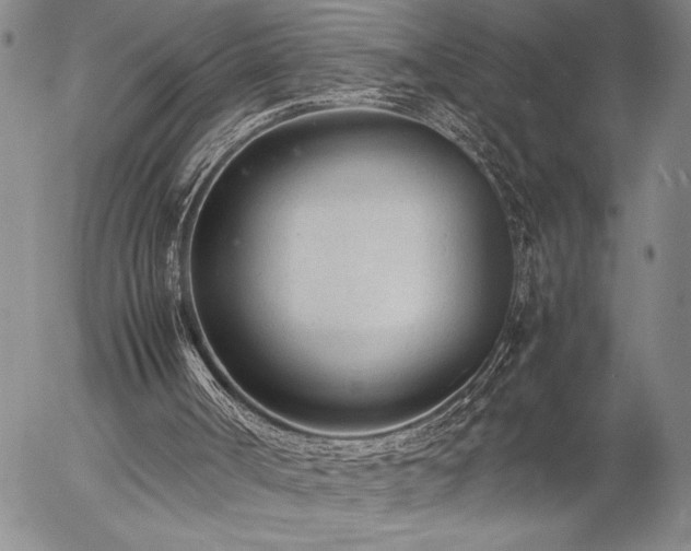 X0000057080002200509091300