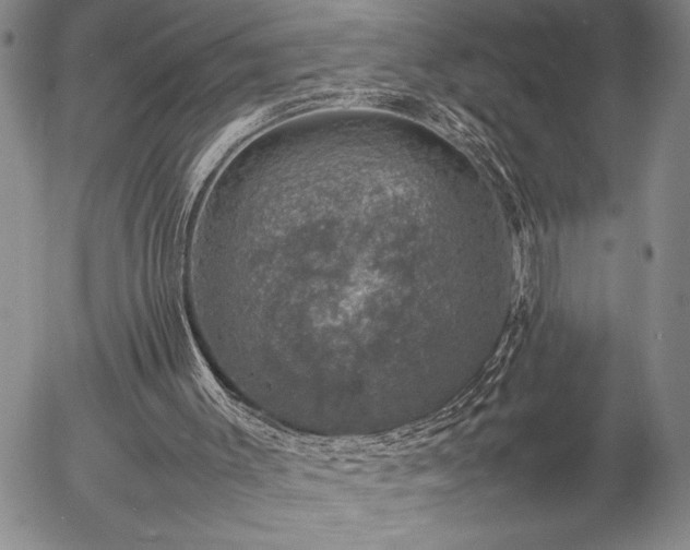 X0000057080003200509091300