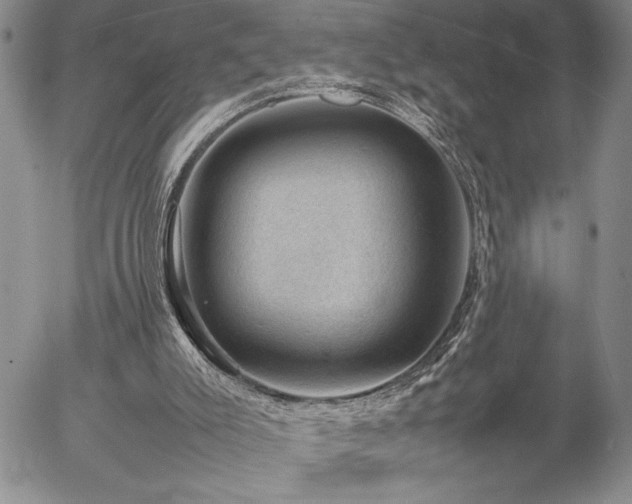 X0000057080007200509091259