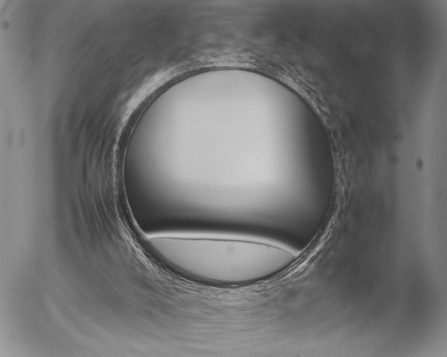 X0000057080008200509091259