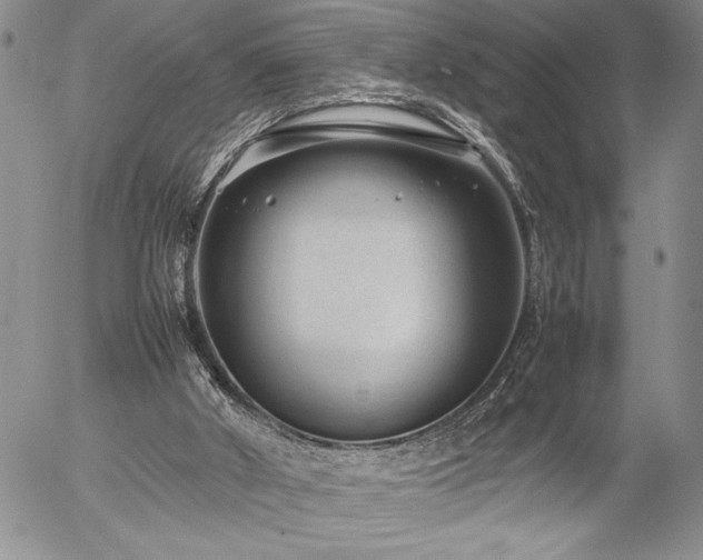 X0000057080010200509091259