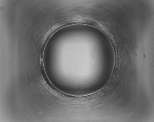 X0000057080011200509091259